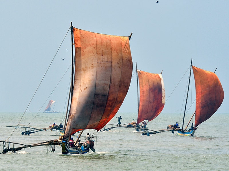 Sailing-boat-negombo